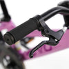 Rock Ridge 16" Pedal Bike by EVO