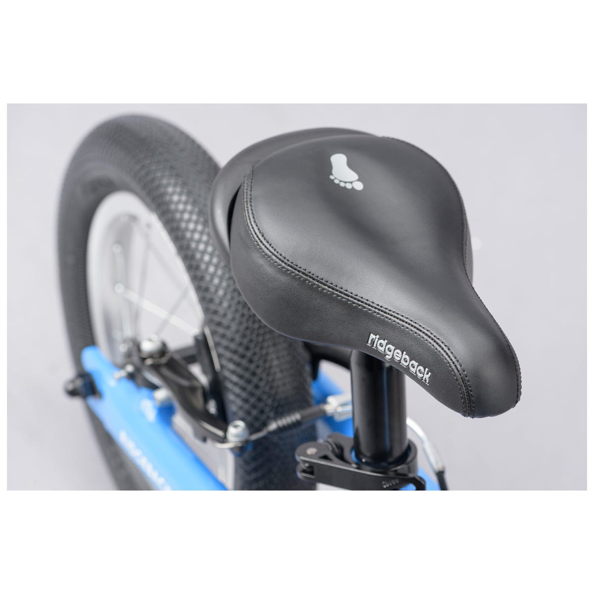 Ridgeback scoot sales xl